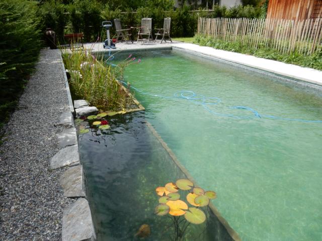   Naturpool